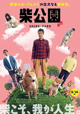 片中扮演 冰雪主题纪录片海外热播 2022-04-05 “泰”催泪！