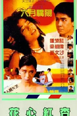 这部销量逾六百万册的作品，以其对家庭、故乡与血肉亲情的深切描摹，引发了无数读者的共鸣。